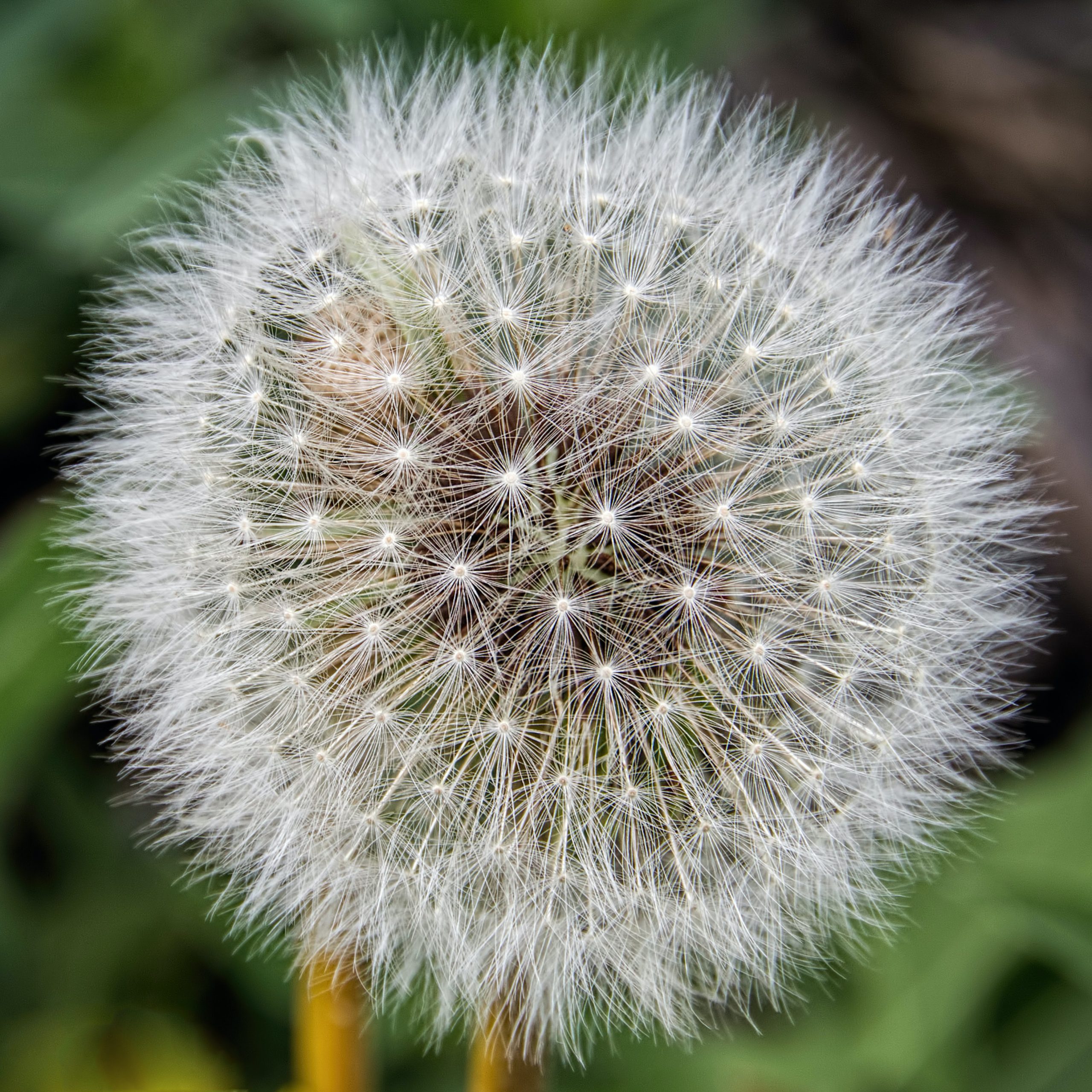 claud-richmond-lqZI37S4JQk-unsplash